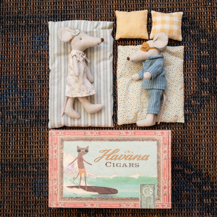 Mom and dad mice in cigar box