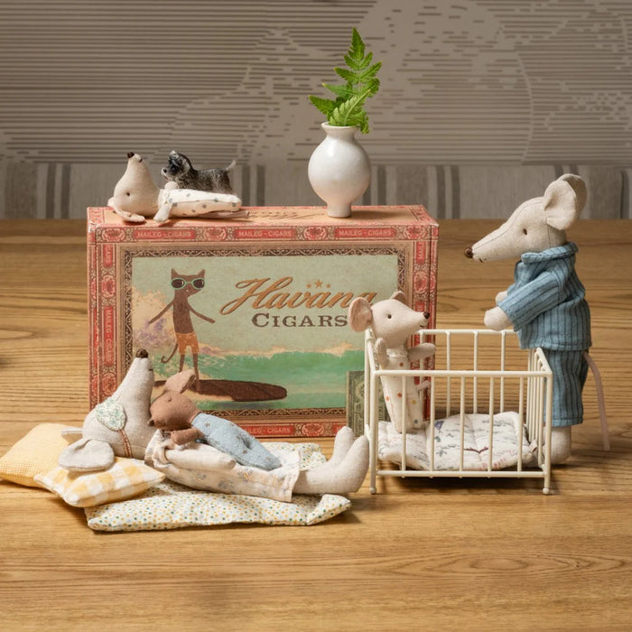 Mom and dad mice in cigar box