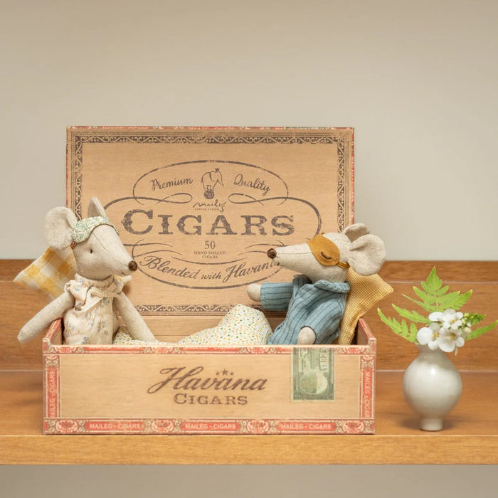 Mom and dad mice in cigar box