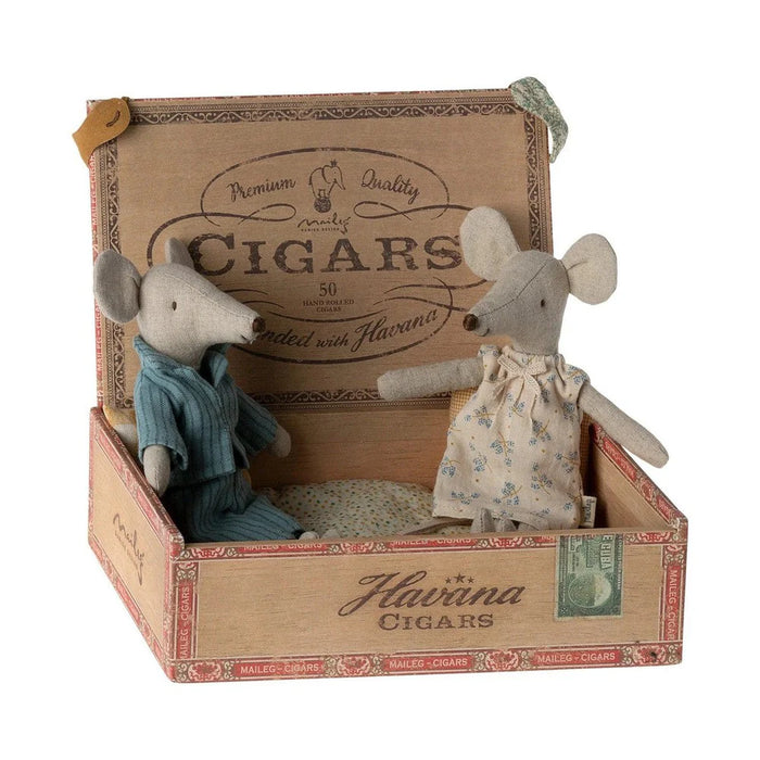 Mom and dad mice in cigar box