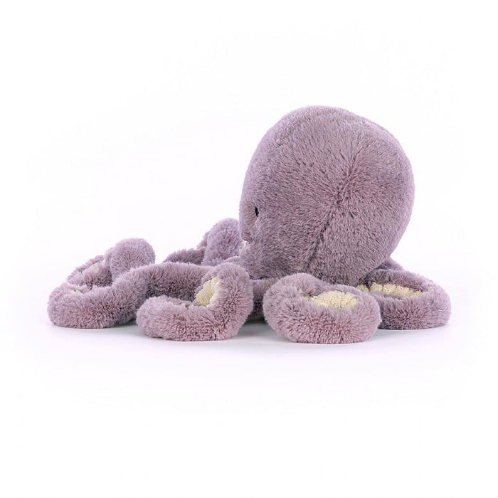 Maya Octopus Little