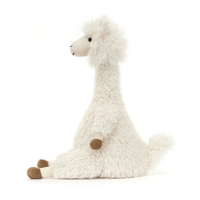 Alonso Alpaca