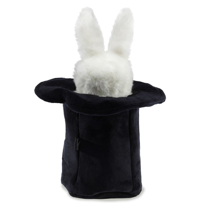 Rabbit In Hat