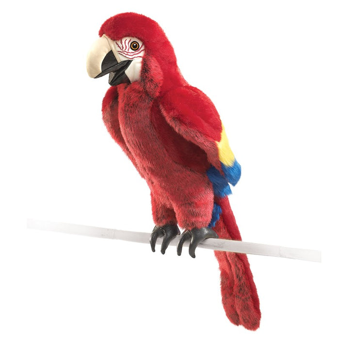 Scarlet Macaw