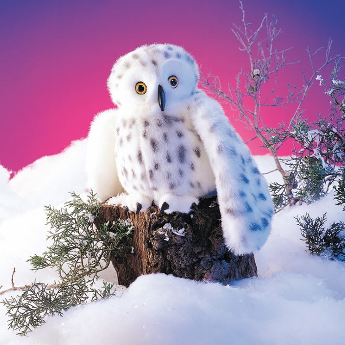 Snowy Owl