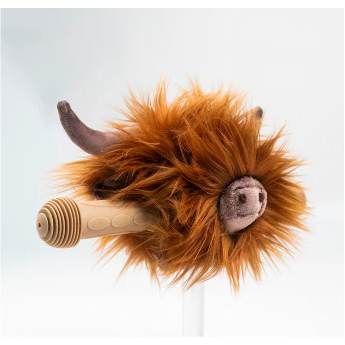 Scooter Head, Highland Cow