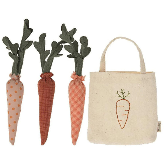 Carrots in shopping bag