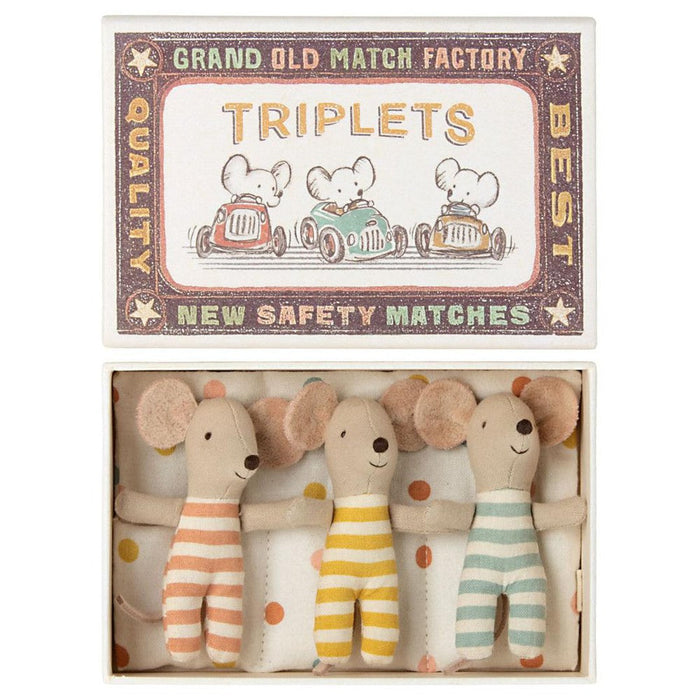 Baby mice triplets in matchbox