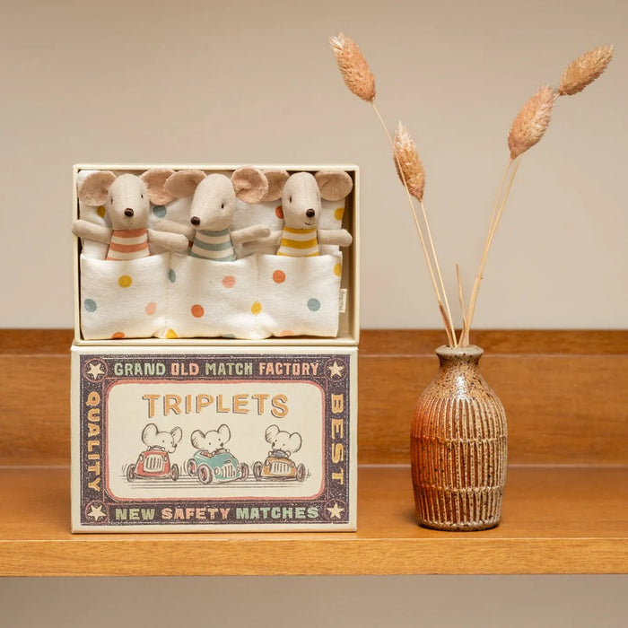 Baby mice triplets in matchbox