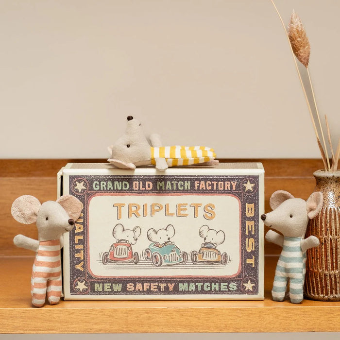 Baby mice triplets in matchbox