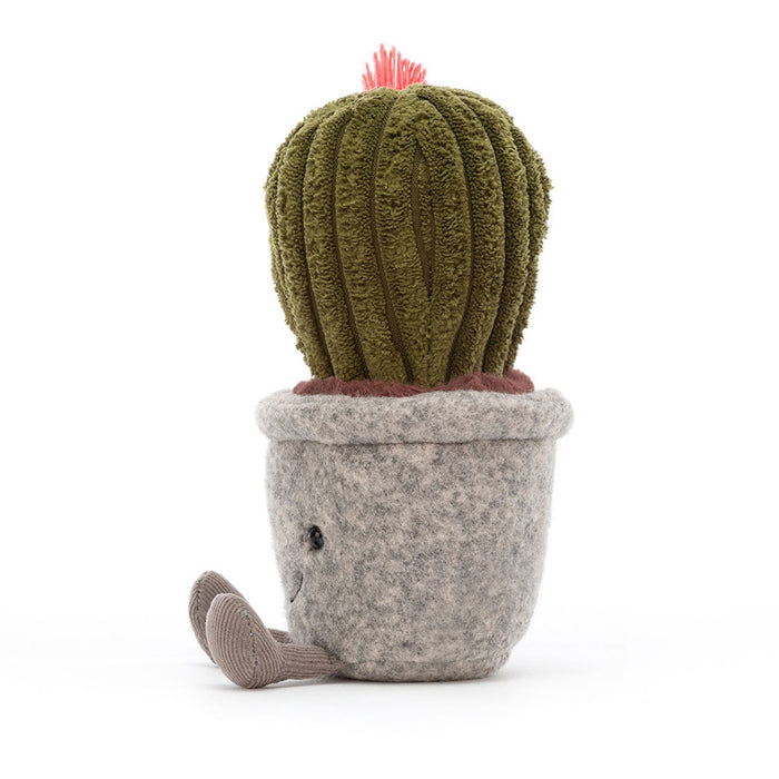 Silly Succulent Barrel Cactus