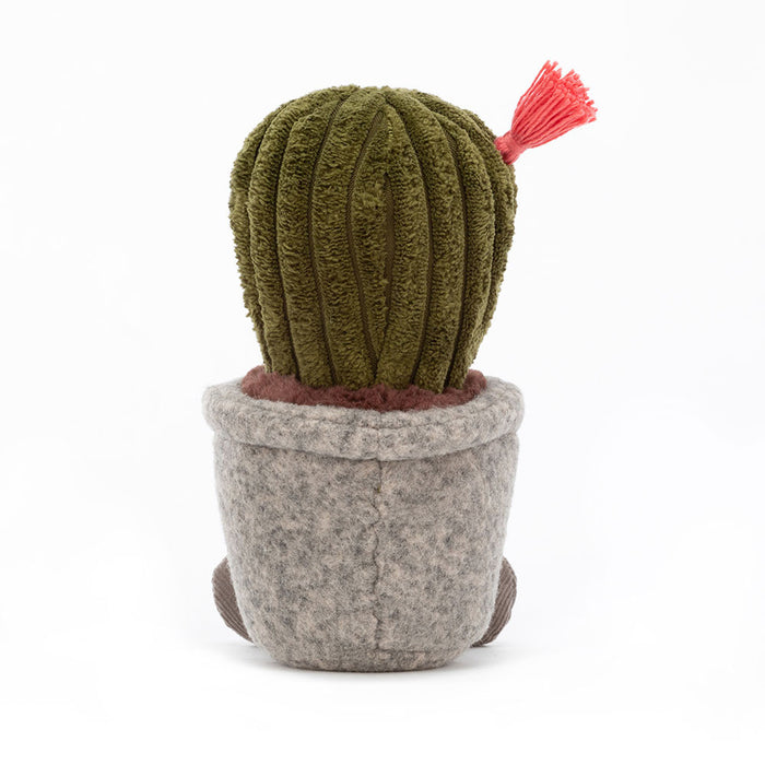 Silly Succulent Barrel Cactus