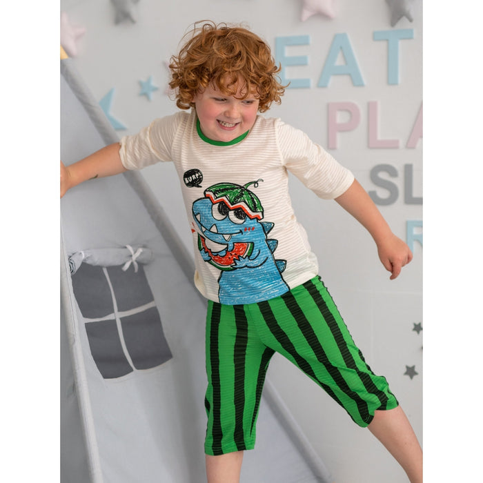 Watermelon Dino Organic Cotton Pajamas 5Y