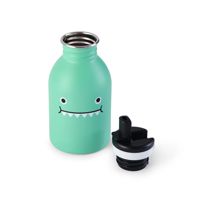 Stainless Steel Bottle - Ricedino - Green