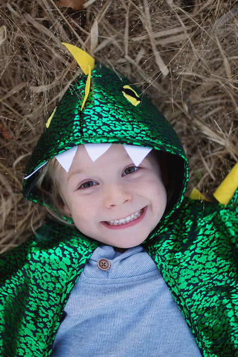 Toddler Dragon Cape 2-3Y