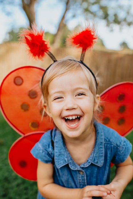 Ladybug Wings & Headband