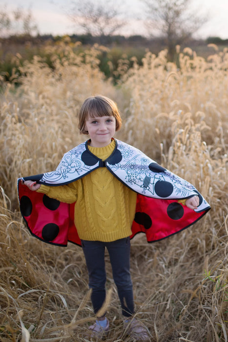 Colour A Ladybug Cape