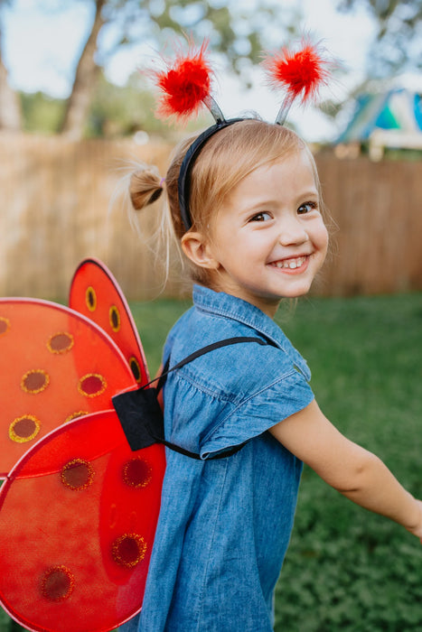 Ladybug Wings & Headband