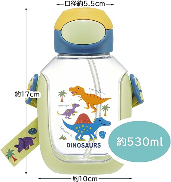 Water Bottle with Straw 530 ml Dinosaur