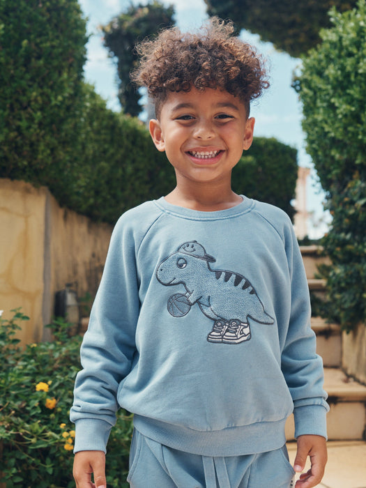 B-BALL DINO SWEATSHIRT AND PANTS