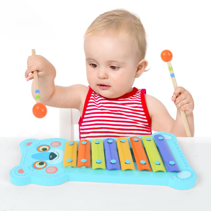 7 Colour Scale Metal Xylophone