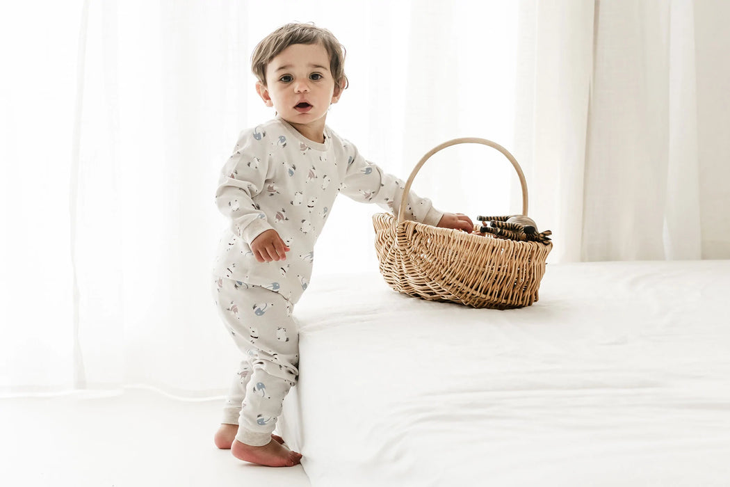 Organic Cotton Two-Piece Long Sleeve PJ Set - Winter Skate