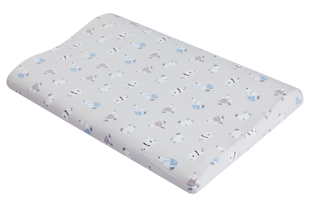 Organic Cotton Toddler Pillow with Pillowcase (Small) - Winter Skate