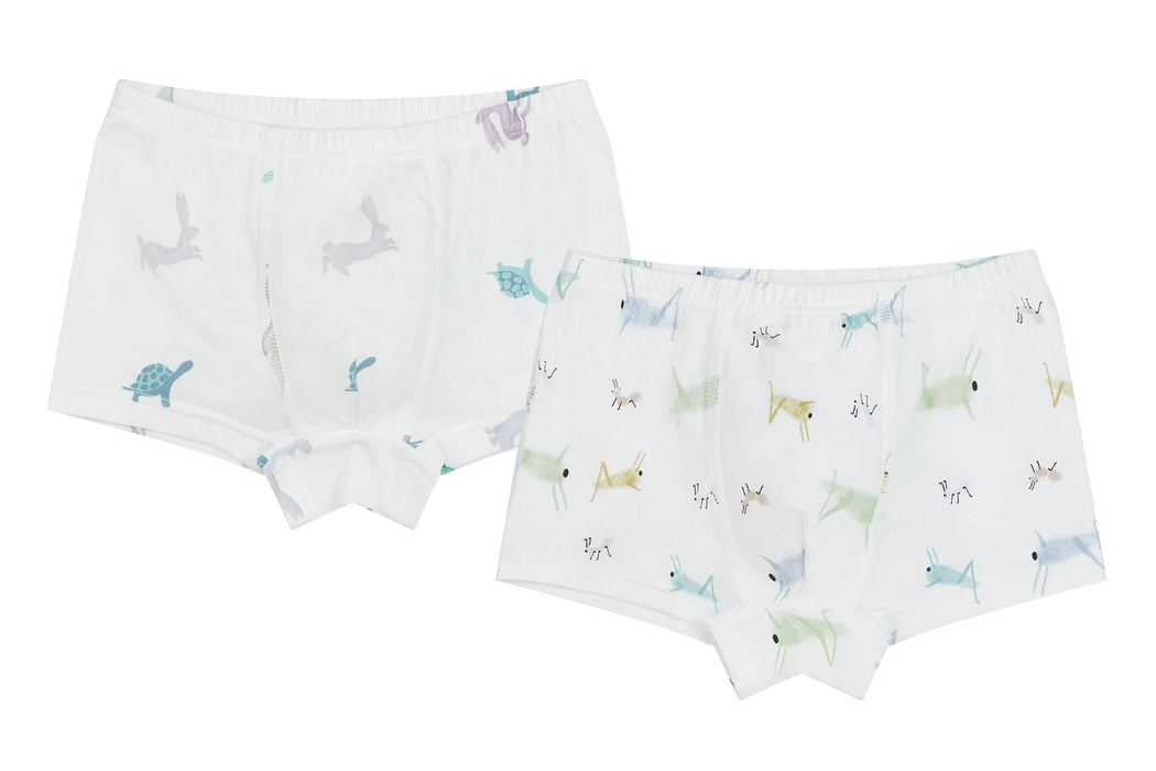 Bamboo Boys Boxer Briefs Underwear (2 Pack) - The Hare & The Ant