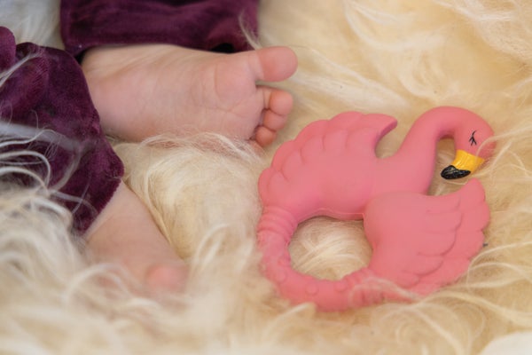 Flamingo Teether