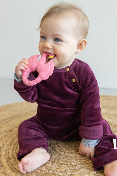 Flamingo Teether