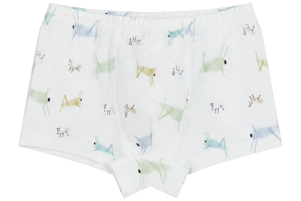 Bamboo Boys Boxer Briefs Underwear (2 Pack) - The Hare & The Ant