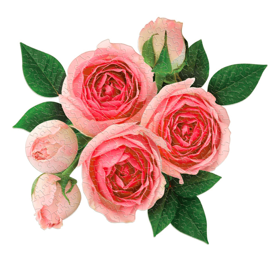 Rose All Day 2-in-1 Shaped Puzzle Set