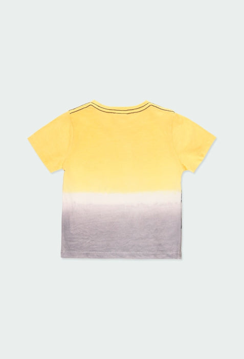 T-shirt tinted knitted baby boy