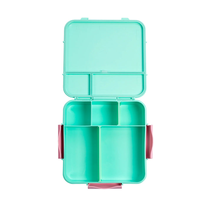 Bento Three Plus -  Mint