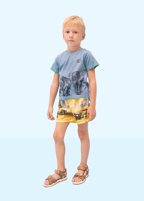 Printed Motif T-shirt Boy